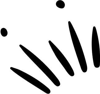 shape